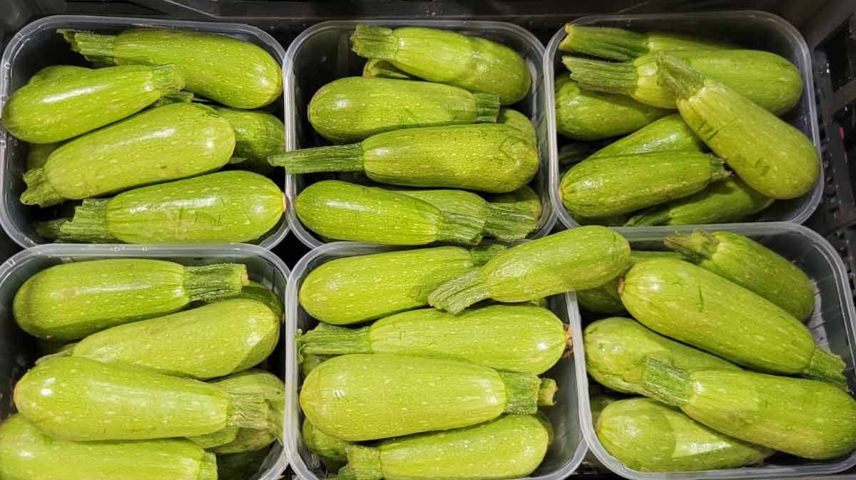Zucchine chiare - Emilia-Romagna - 2,50 euro al chilogrammo